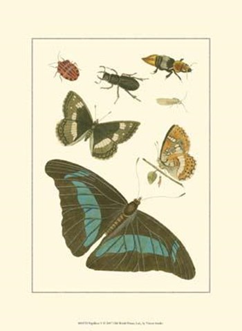 Papillion V art print