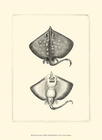 Sepia Rays art print