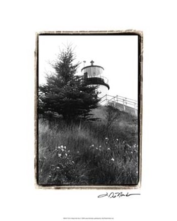 Owl&#39;s Head with Tree by Laura Denardo art print