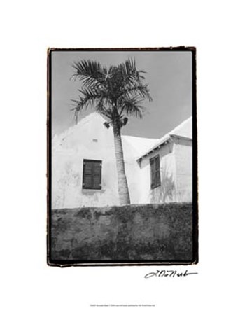 Bermuda Shade by Laura Denardo art print