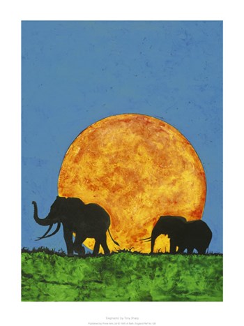 Elephants by Tony Sharp art print