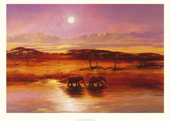 Elephant Shadow by Jonathan Sanders art print