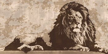 Lion by Andrew Cooper art print