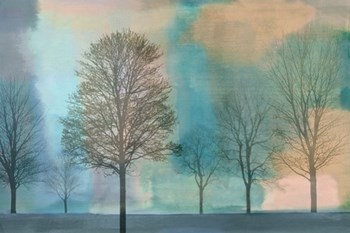 Misty Morning II by Chris Donovan art print