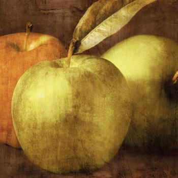 Apples by Curtis Kelly art print