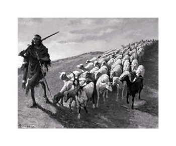 Navajo Sheepherder by Frederic Remington art print