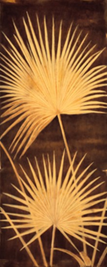 Fan Palm Triptych II by David Parks art print