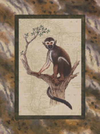 Squirrel Monkey by Janet Kruskamp art print