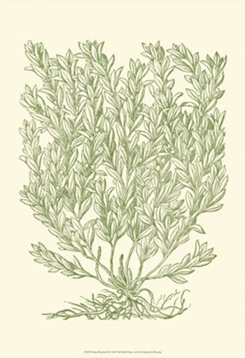Mossy Branches II by Duhamel De Monceau art print