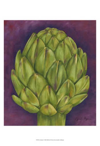 Artichoke by Jennifer Goldberger art print