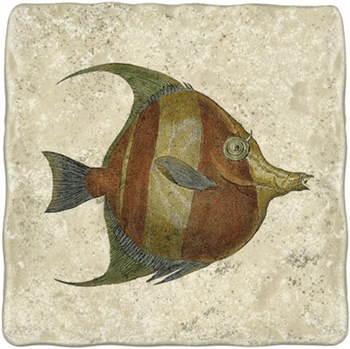 Angel Fish II by Vision Studio art print