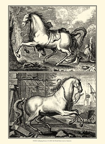 Galloping Horses I art print