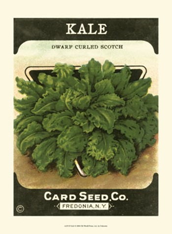 Kale art print