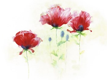 Red Poppies II by Andrea Fontana art print