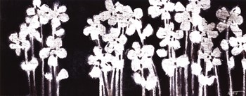 White Flowers on Black I by Norman Wyatt Jr. art print