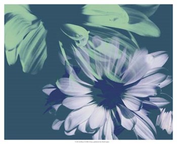 Teal Bloom I by A. Project art print