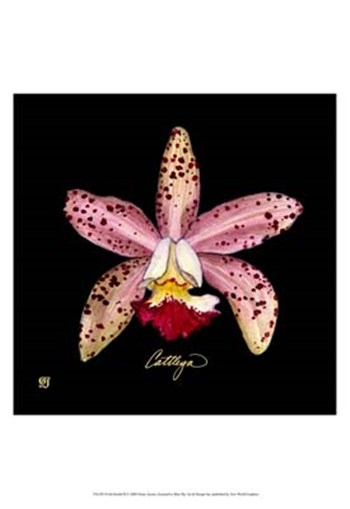 Vivid Orchid III by Ginny Joyner art print
