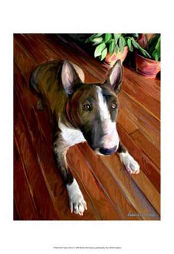 Bull Terrier Down by Robert McClintock art print