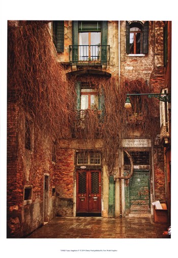 Venice Snapshots IV by Danny Head art print