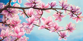 Magnolia in fiore by Sara J. Cortesse art print