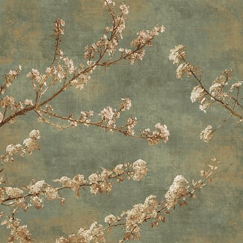 Morning Blossom II by John Seba art print