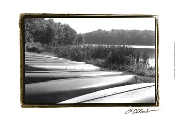 Lake Living III by Laura Denardo art print