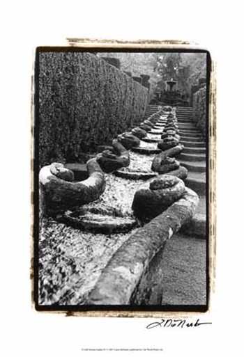 Italian Garden IV by Laura Denardo art print