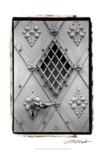 Distinguished Doors I by Laura Denardo art print