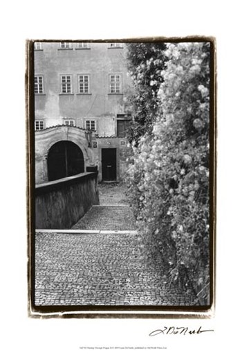 Passing through Prague II by Laura Denardo art print