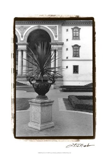 Royal Urn II by Laura Denardo art print