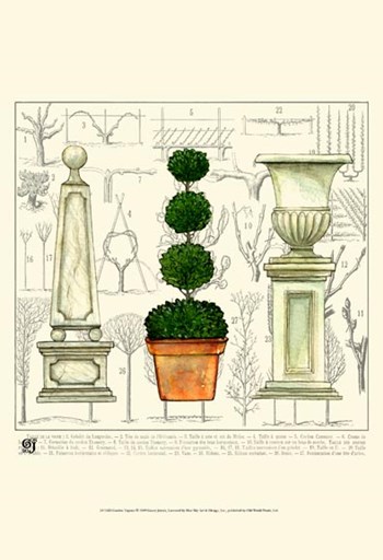 Garden Topiary by Ginny Joyner art print