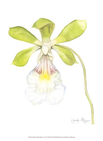 Small Orchid Beauty I (U) by Jennifer Goldberger art print