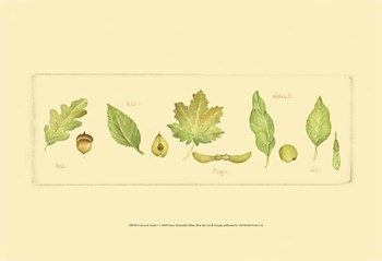 Leaves &amp; Seeds I by Nancy Shumaker art print