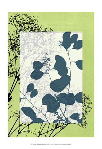 Sm Translucent Wildflowers VIII by Jennifer Goldberger art print