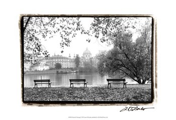 Peaceful Morning by Laura Denardo art print