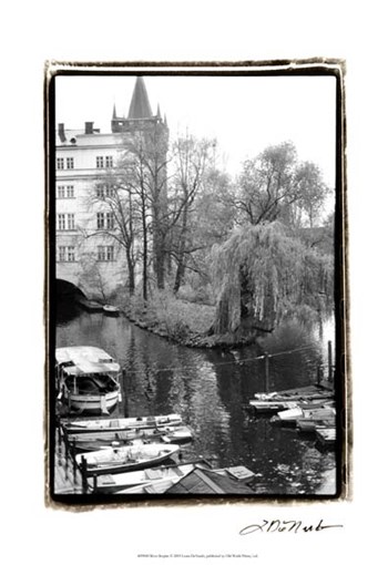 River Respite by Laura Denardo art print