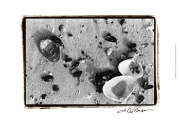 Sand Treasures I by Laura Denardo art print