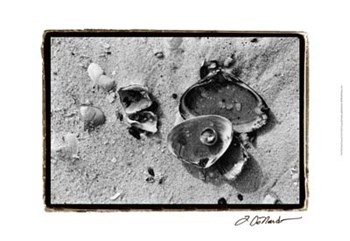 Sand Treasures II by Laura Denardo art print