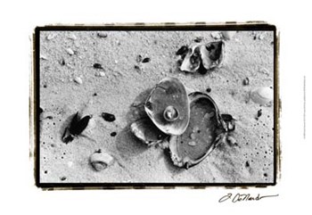 Sand Treasures III by Laura Denardo art print