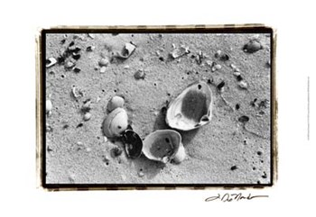 Sand Treasures IV by Laura Denardo art print
