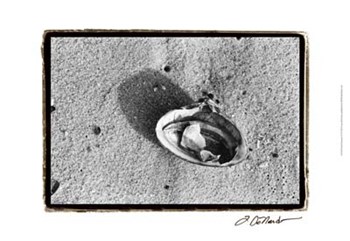 Sand Treasures VI by Laura Denardo art print
