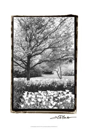 Springtime Garden III by Laura Denardo art print