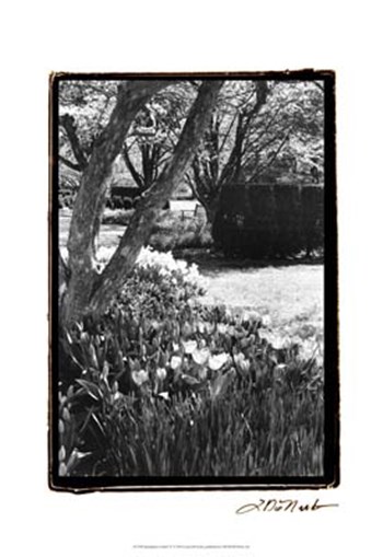 Springtime Garden IV by Laura Denardo art print