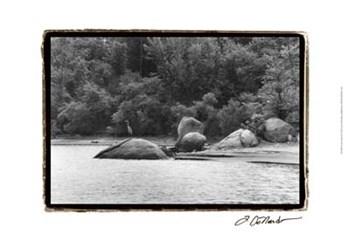 Serene Lake II by Laura Denardo art print