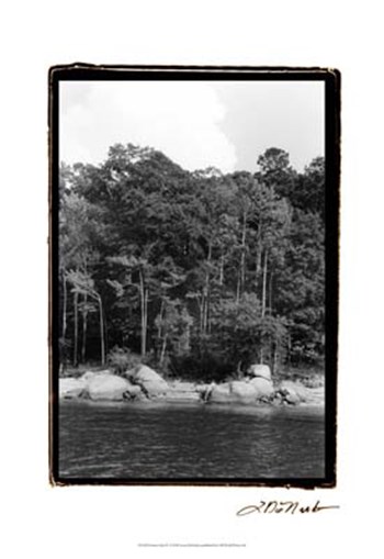 Serene Lake IV by Laura Denardo art print