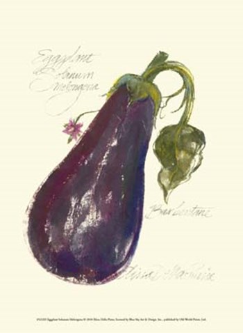 Eggplant Solanum Melongena by Elissa Della-Piana art print