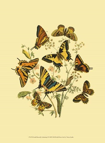 Small Butterfly Gathering I by Vision Studio art print