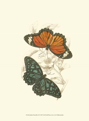 Butterflies II by Sir William Jardine art print