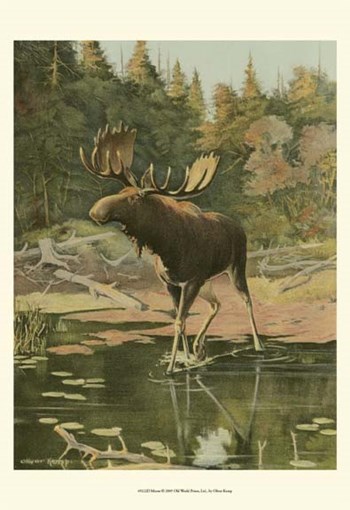 Moose by Oliver Kemp art print
