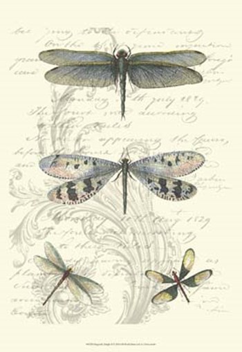 Dragonfly Delight II by Vision Studio art print